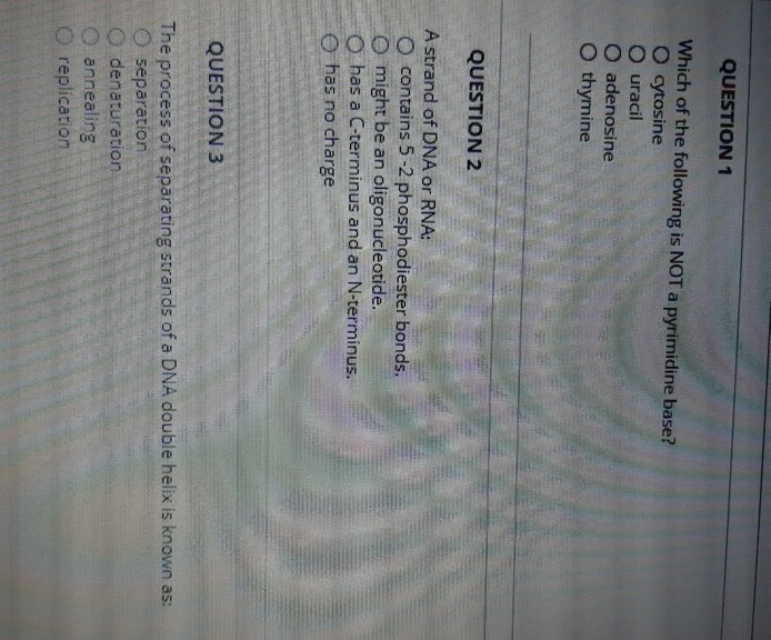 Which Of The Following Is Not A Pyrimidine Solved QUESTION 1 Which of the following is NOT a pyrimidine | Chegg.com