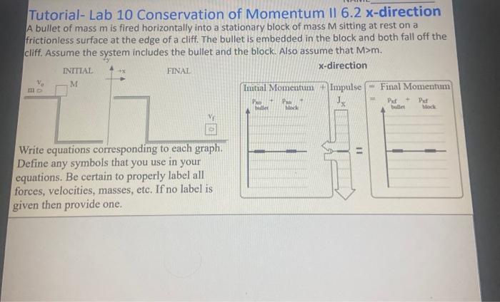 Solved Tutorial- Lab 10 Conservation Of Momentum 11 6.2 | Chegg.com