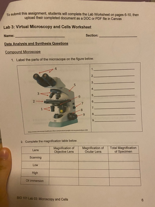 Solved To submit this assignment, students will complete the | Chegg.com