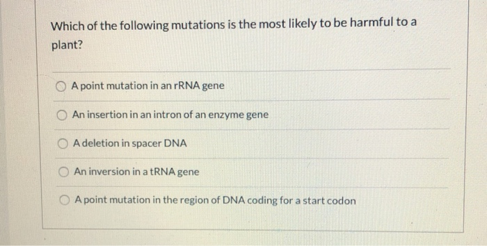 Solved Which of the following mutations is the most likely | Chegg.com