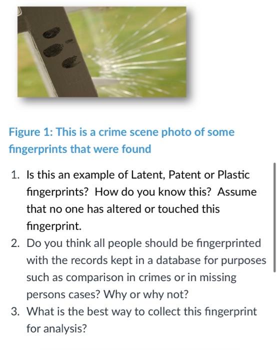 plastic fingerprints