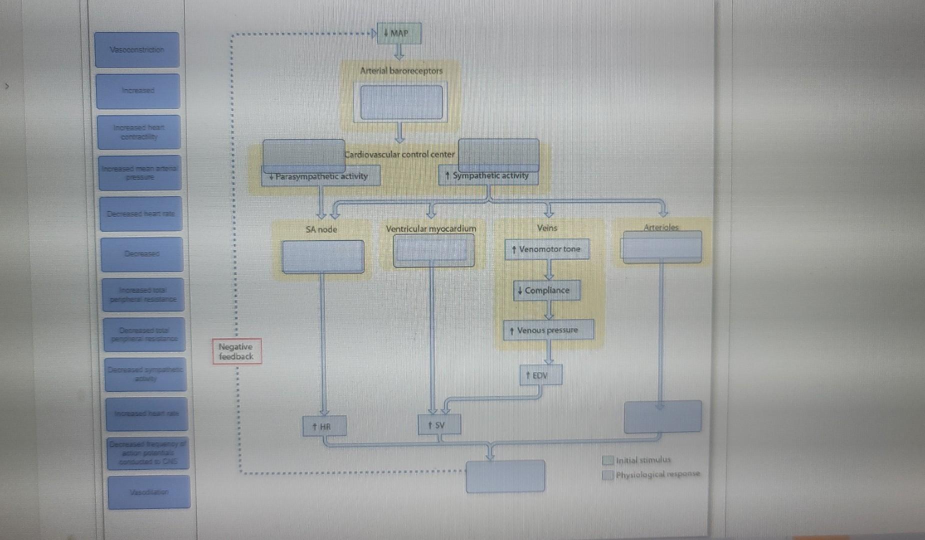 solved-label-to-create-a-flow-chart-of-how-the-b