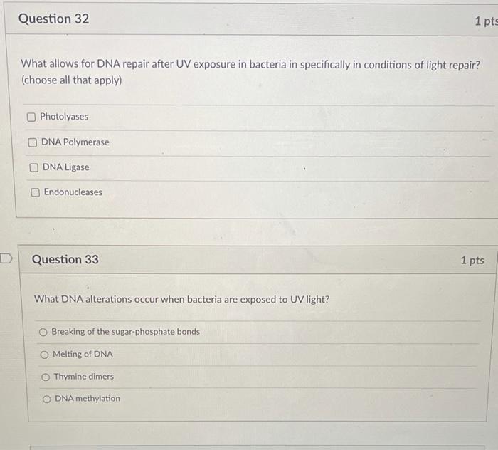Solved Question 32 1 pts What allows for DNA repair after UV | Chegg.com