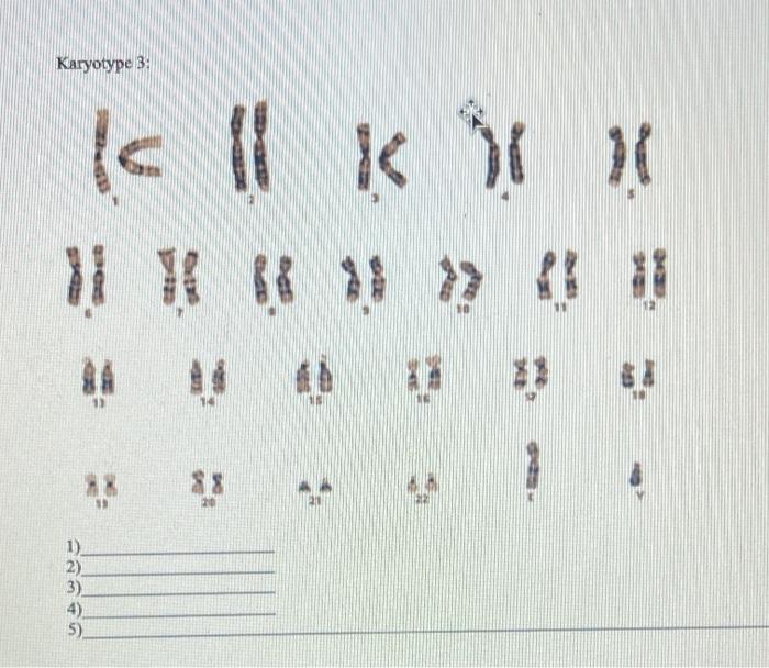 Solved Determine if each of these karyotypes is. 1) Euploid | Chegg.com