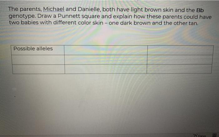The parents, Michael and Danielle, both have light brown skin and the Bb genotype. Draw a Punnett square and explain how thes