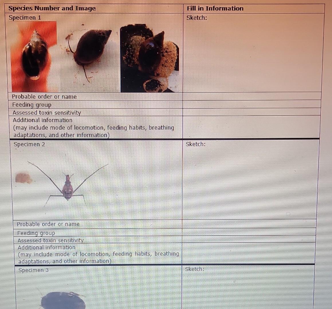 solved-macroinvertebrates-and-water-quality-3-why-are-chegg