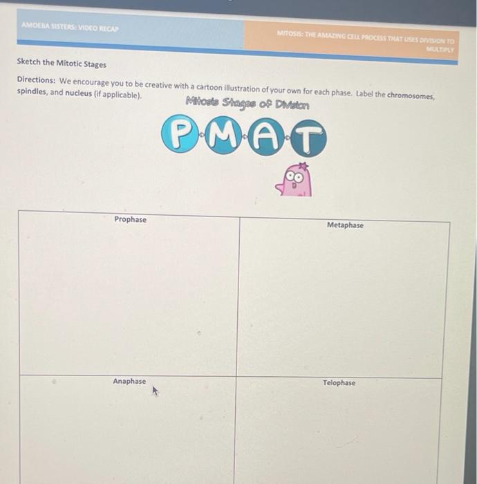 Amoeba Sisters Mitosis Worksheet Answer Key Pdf