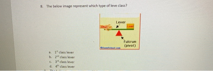 Solved 8. The below image represent which type of leve | Chegg.com
