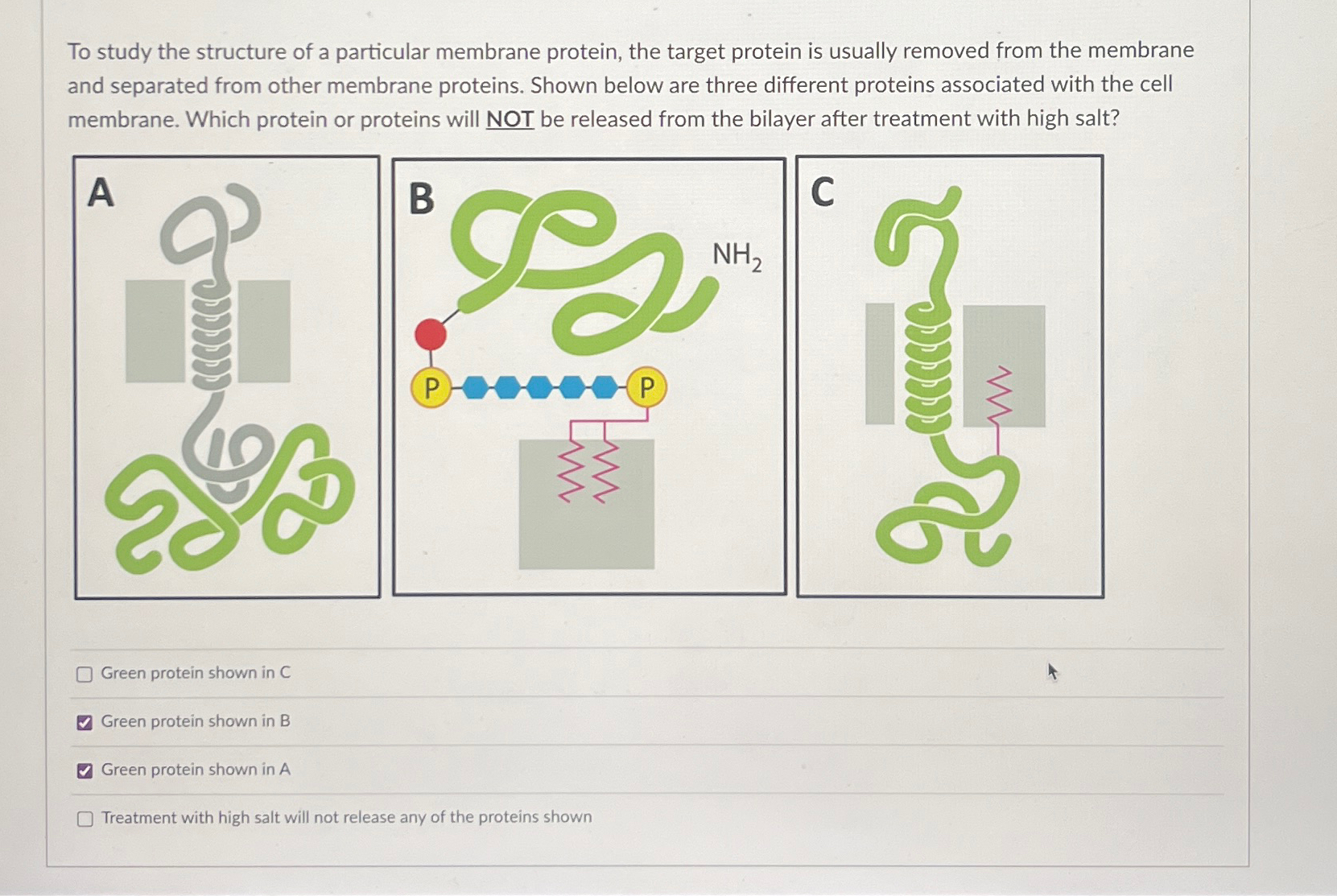 Solved To study the structure of a particular membrane | Chegg.com