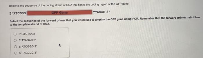 Solved Below is the sequence of the coding strand of DNA | Chegg.com