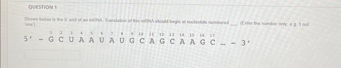 Solved Shown below is the 5 ' end of an mRNA. Translation of | Chegg.com