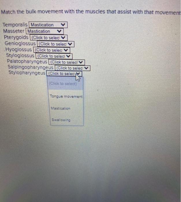 Solved Match the bulk movement with the muscles that assist