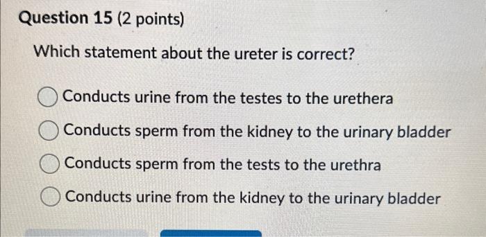 Solved Which statement about the ureter is correct? Conducts | Chegg.com