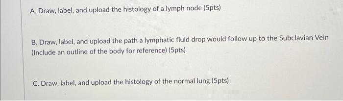 Solved A. Draw, label, and upload the histology of a lymph | Chegg.com