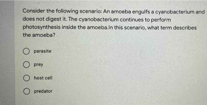 Solved Consider the following scenario: An amoeba engulfs a | Chegg.com