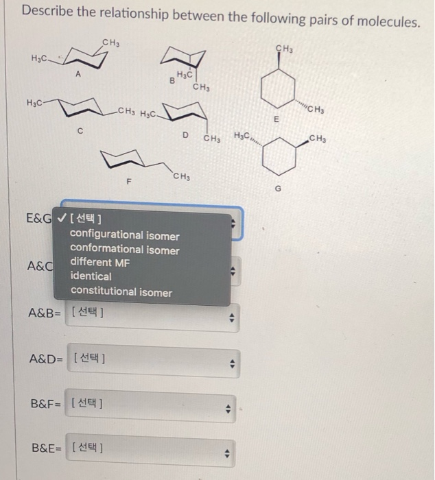 Solved Describe the relationship between the following pairs | Chegg.com