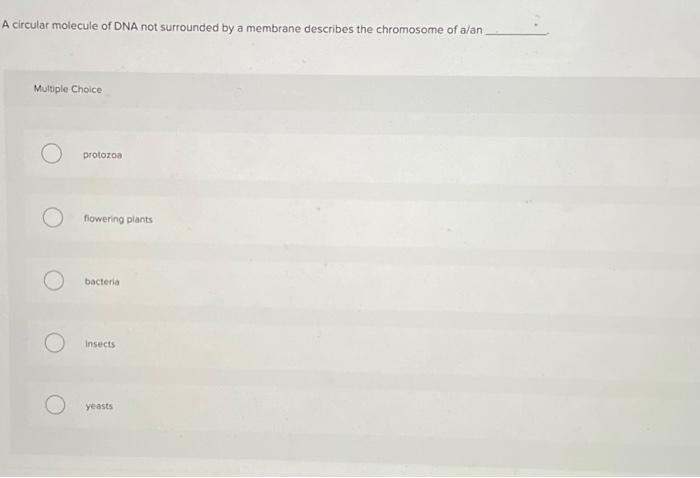 Solved A circular molecule of DNA not surrounded by a | Chegg.com