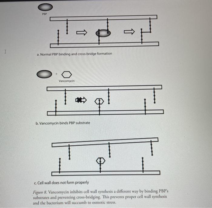 Solved NATIONAL CENTER FOR CASE STUDY TEACHING IN SCIENCE | Chegg.com