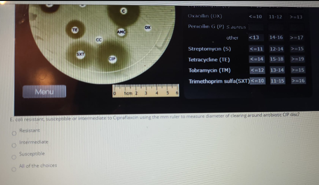 Solved Escherichia Coli Kirby-Bauer Antimicrobial | Chegg.com