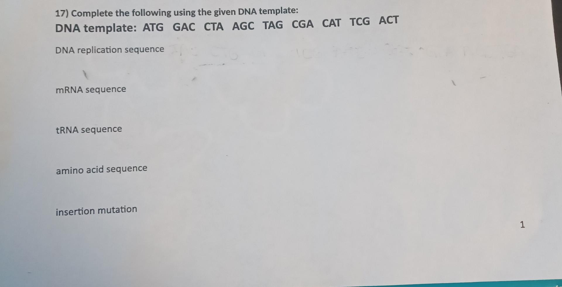 Solved 17) Complete the following using the given DNA | Chegg.com