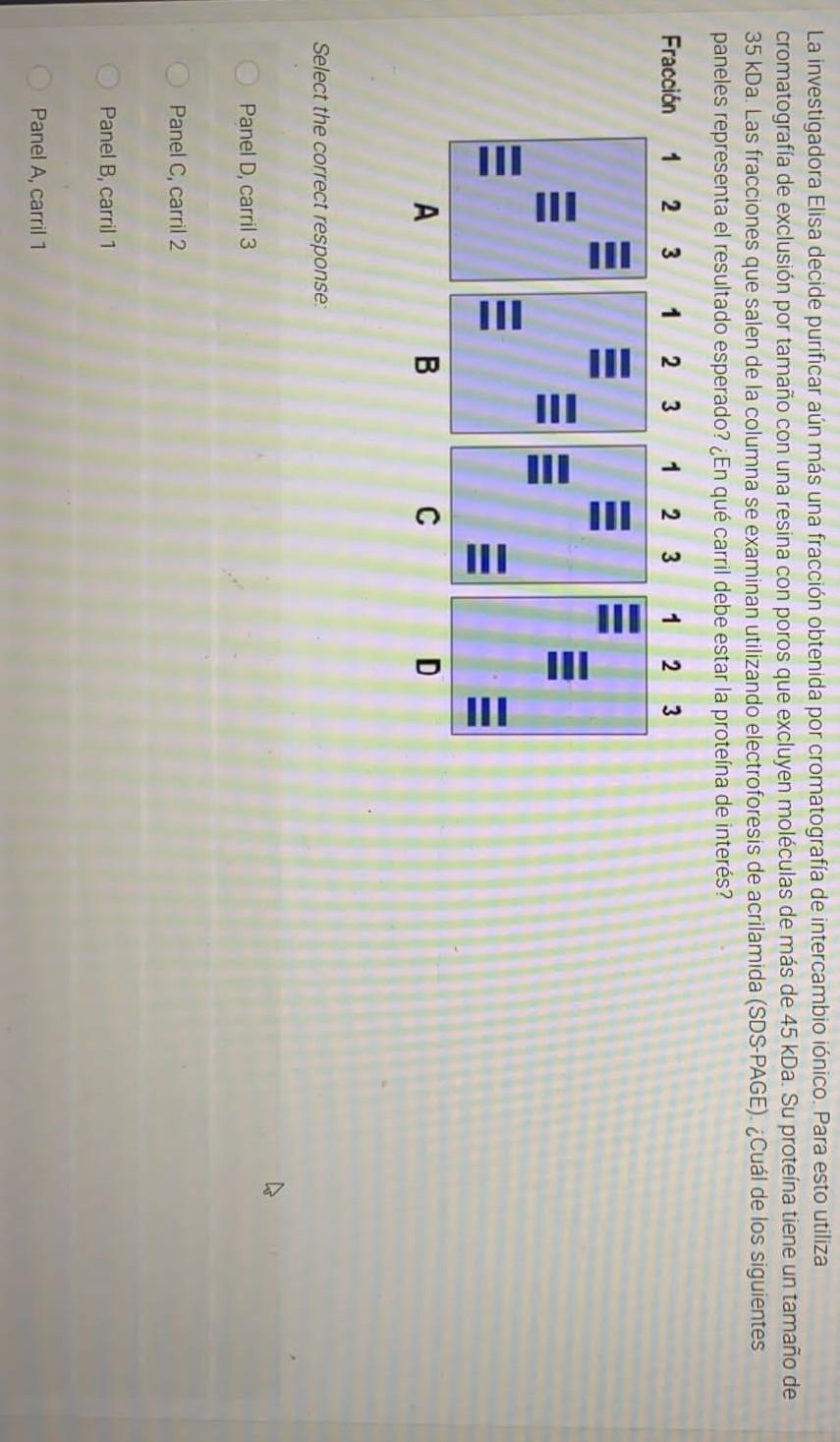 La investigadora Elisa decide purificar aún más una fracción obtenida por cromatografía de intercambio iónico. Para esto util