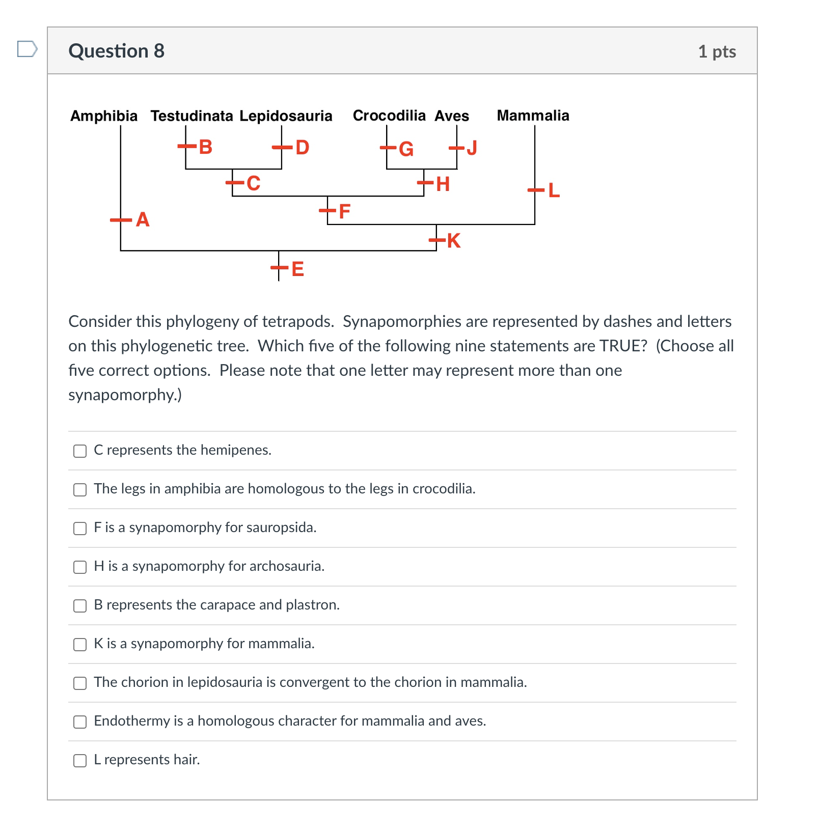 Solved Question 8Consider This Phylogeny Of Tetrapods. | Chegg.com