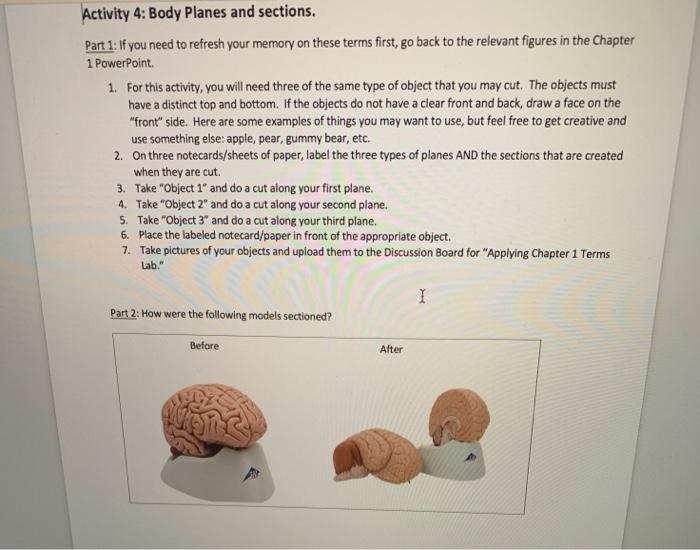 Solved Activity 4: Body Planes and sections. Part 1: If you