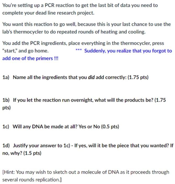 Solved You're setting up a PCR reaction to get the last bit | Chegg.com