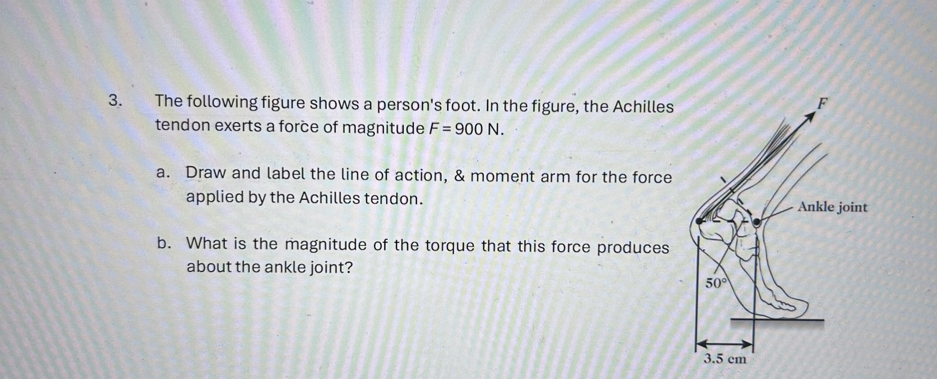 Foot Torque Example Solved The following figure shows a person's foot. In the | Chegg.com
