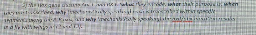 Solved 5) the Hox gene clusters Ant-C and BX-C (what they | Chegg.com