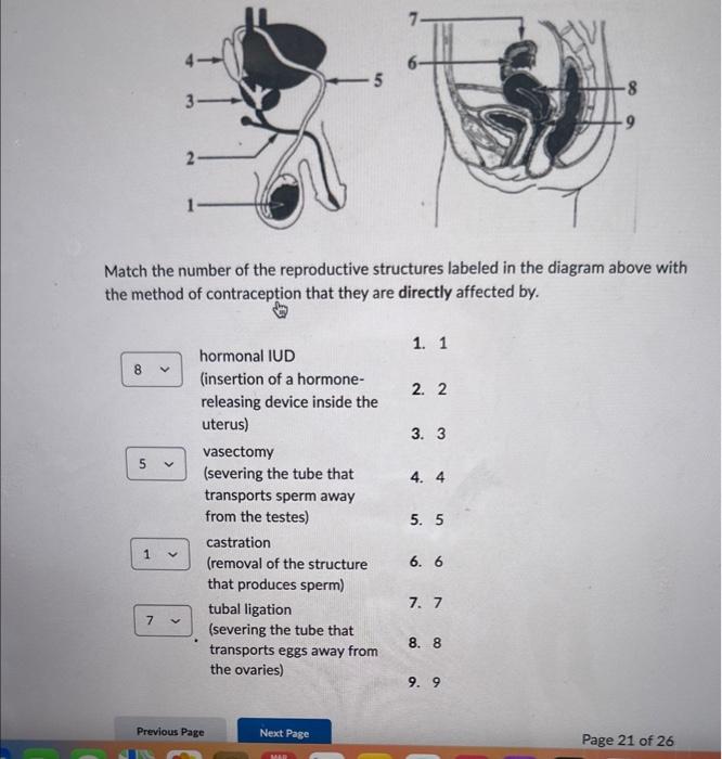 Solved Match the number of the reproductive structures | Chegg.com
