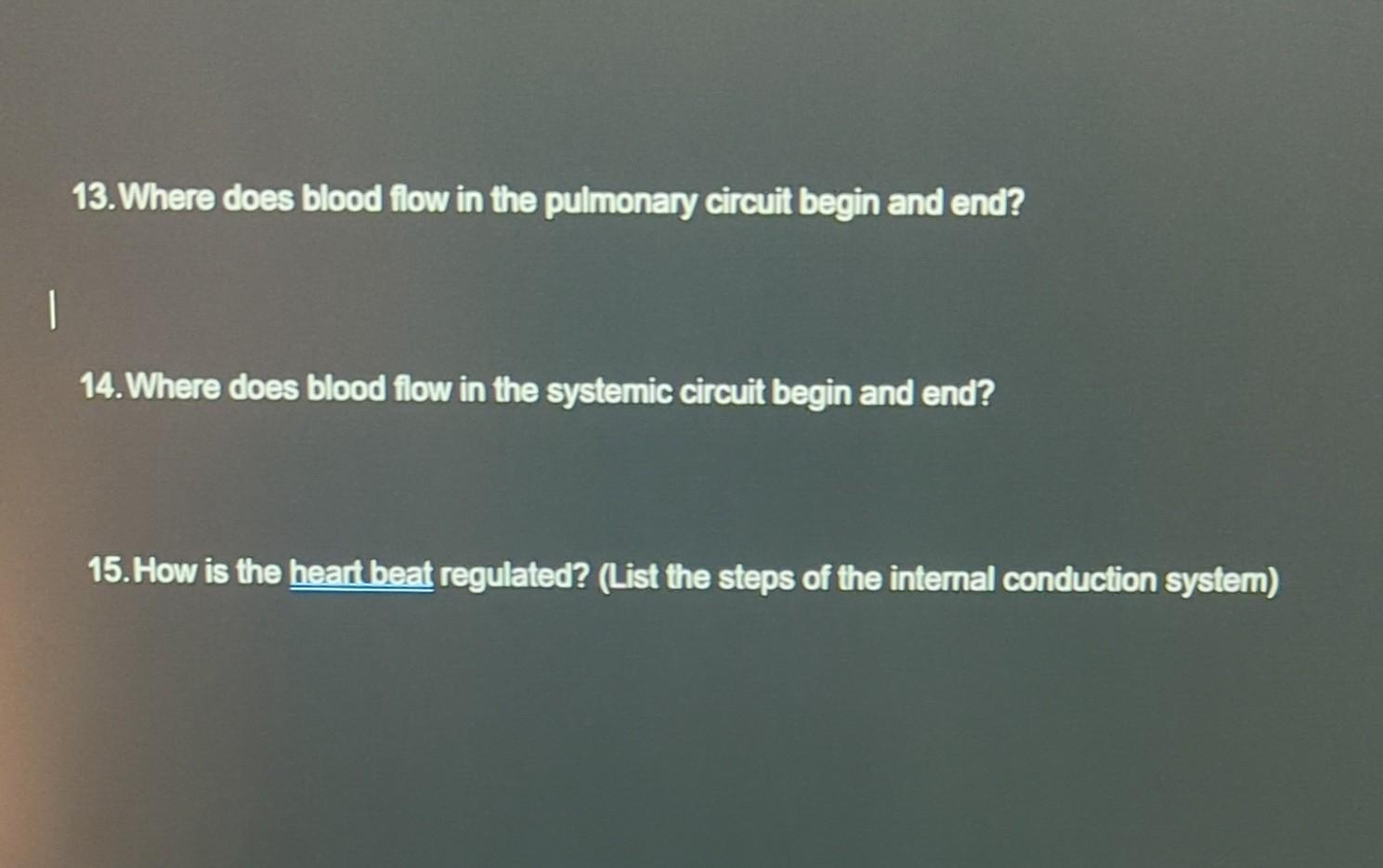  Solved 13 Where Does Blood Flow In The Pulmonary Ci