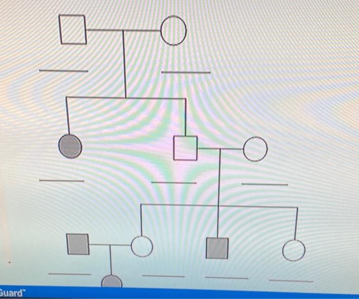 Solved This is a pedigree showing albinism in a family.