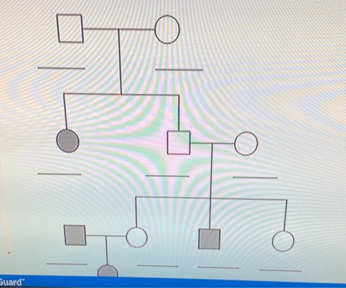 Solved This is a pedigree showing albinism in a family. | Chegg.com