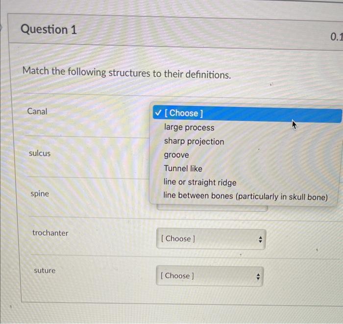Solved Match the following structures to their definitions. | Chegg.com