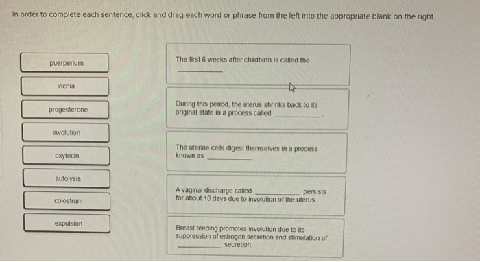 Solved In order to complete each sentence, click and drag | Chegg.com