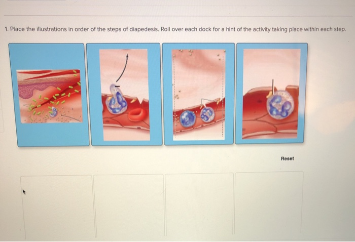 Solved 1. Place the illustrations in order of the steps of | Chegg.com