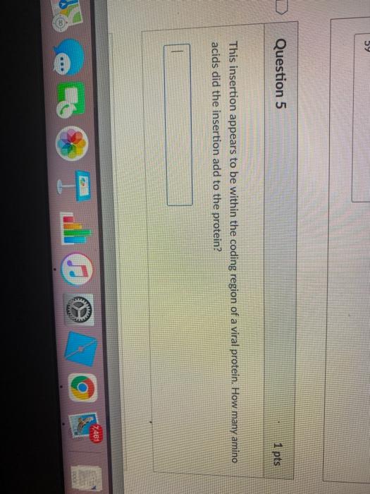 Solved Question 6 1 pts True or false. The insertion will | Chegg.com