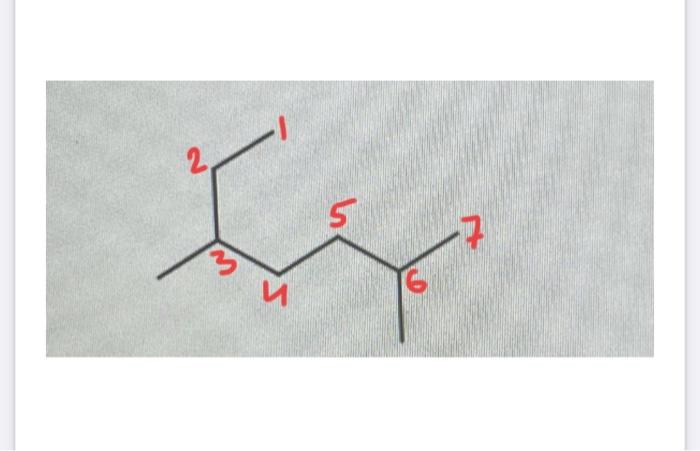 Solved please i need the name of this structure | Chegg.com