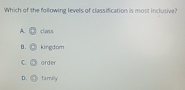 Solved Which of the following levels of classification is | Chegg.com