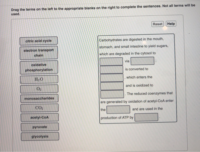 Solved Identify in the figure given below the stages in the | Chegg.com