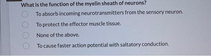 Solved What is the function of the myelin sheath of neurons? | Chegg.com