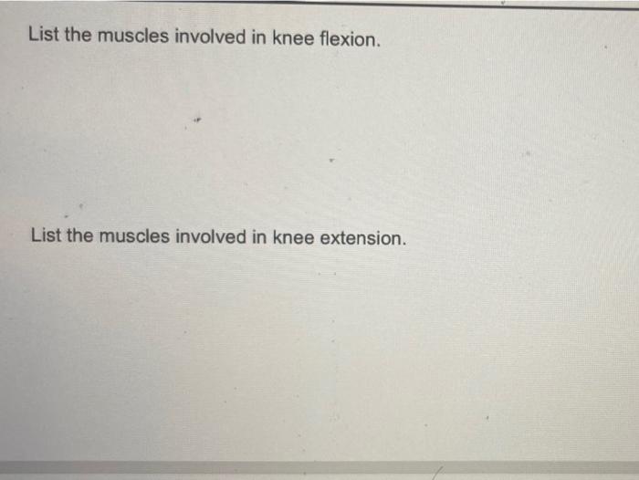 Solved List the muscles involved in knee flexion. List the | Chegg.com
