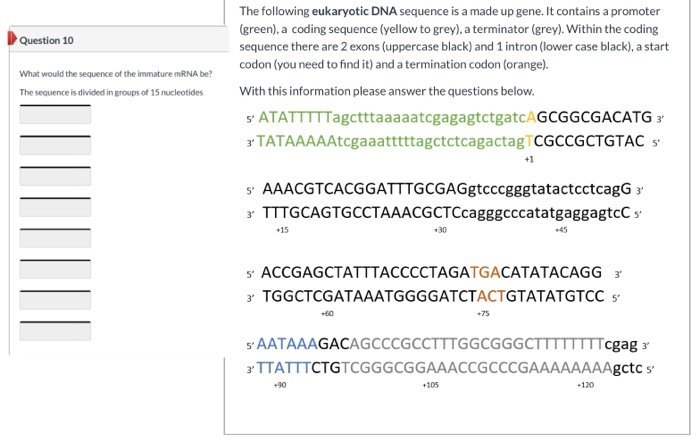 Solved Genetics Class: Whats The Answer To Question 10 On | Chegg.com