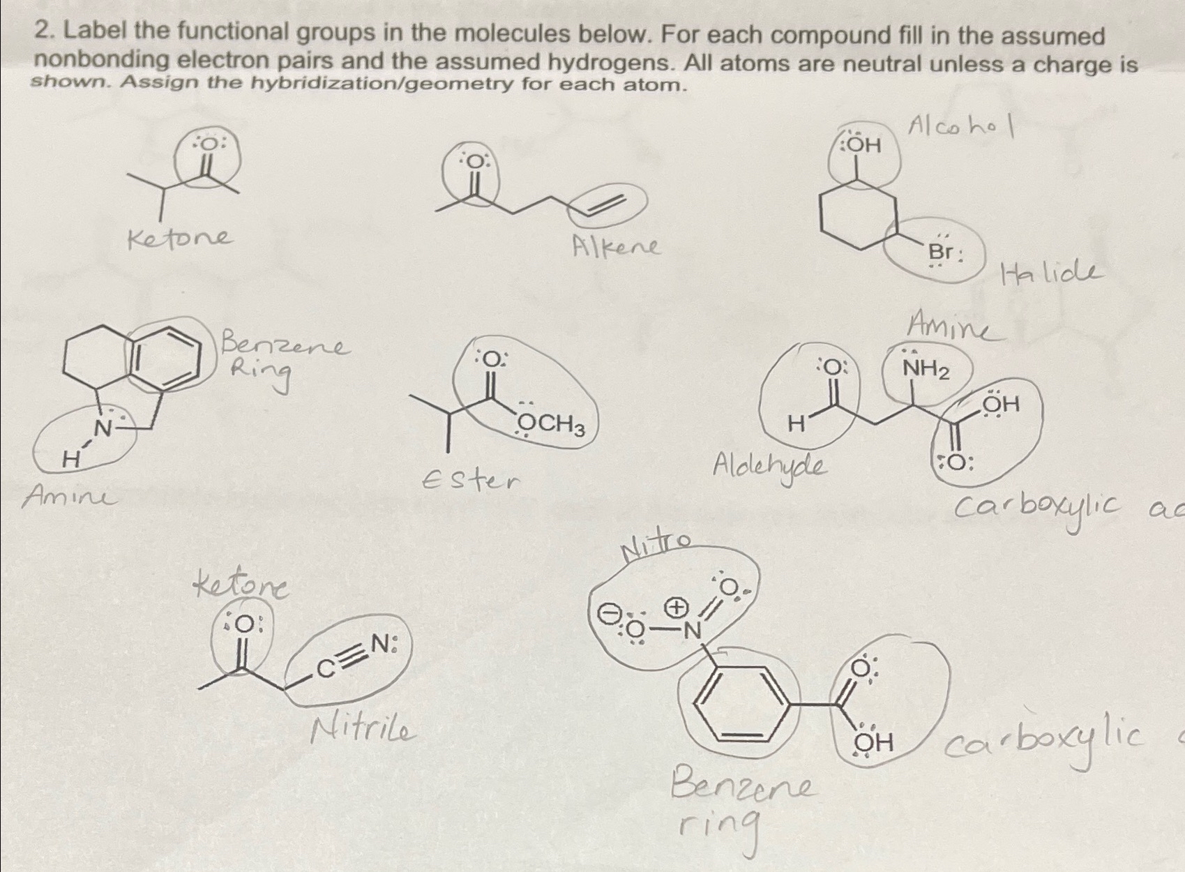 Solved Label the functional groups in the molecules below. | Chegg.com