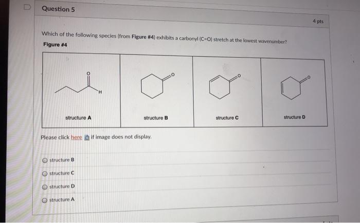 Solved Question 5 4 pts Which of the following species (from | Chegg.com