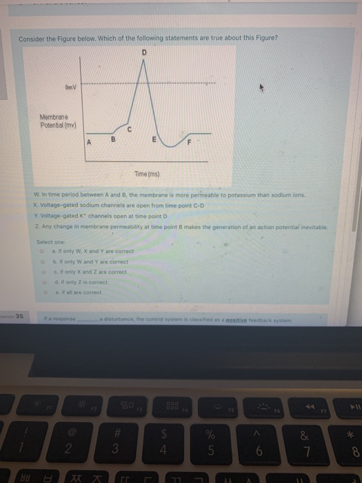 Solved Consider the Figure below. Which of the following | Chegg.com