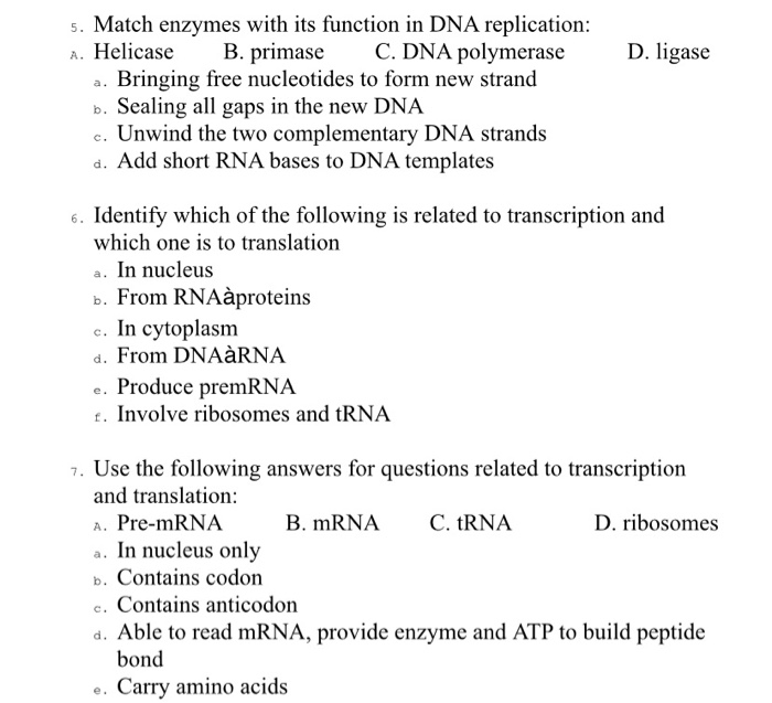 Solved D. ligase 5. Match enzymes with its function in DNA