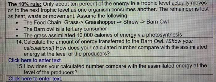 Solved The 10% Rule: Only About Ten Percent Of The Energy In | Chegg.com