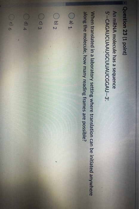 Solved Question 23 (1 point) An mRNA molecule has a sequence | Chegg.com